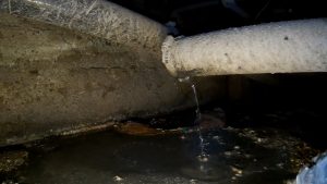 Crawlspace inspection finds plumbing leak during a home inspection in San Bernardino, CA
