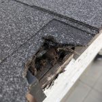 Home Inspection Red Flags - Damaged roof materials found during a home inspection in Rancho Cucamonga CA