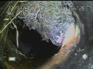 Home inspection red flags - Root intrusion discovered in a sewer line during a sewer scope inspection