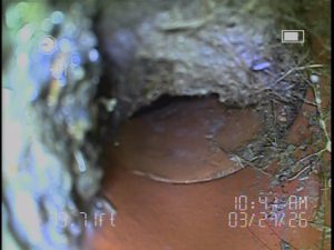 Sewer scope inspection showing root intrusion inside a damaged main sewer line in Rancho Cucamonga California