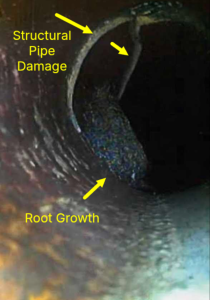 Professional sewer scope inspection and Sewer Line Evaluation 