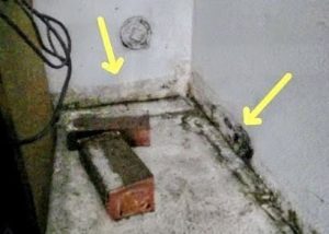 Thermal imaging inspection being performed during a home inspection in Rancho Cucamonga California to detect hidden moisture and insulation issues